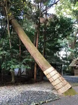 伊雜宮（皇大神宮別宮）の自然