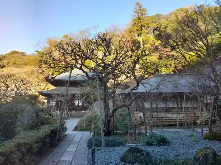 瑞泉寺の庭園