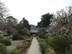 浄妙寺の建物その他