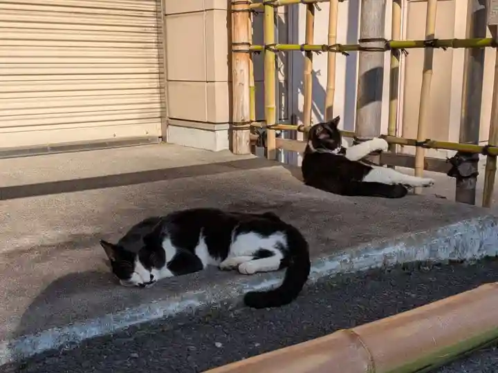 白金氷川神社(東京都)