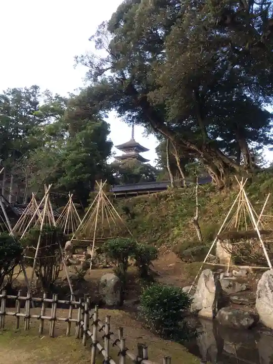 妙成寺(石川県)