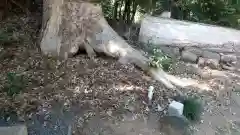 新治神社の自然