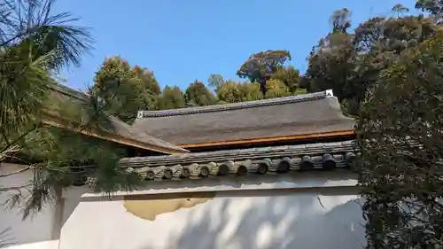 龍吟庵（竜吟庵）(京都府)