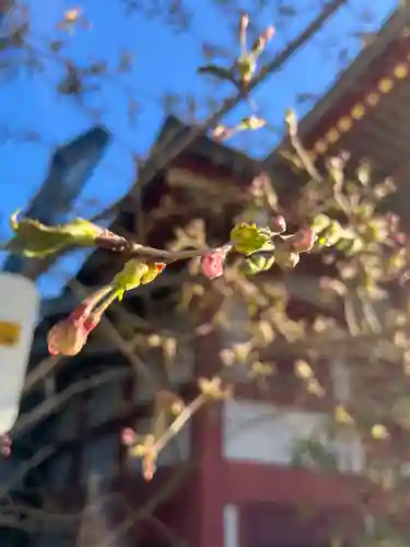 宝壽山 吉祥院(北海道)