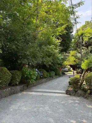 富士山本宮浅間大社(静岡県)