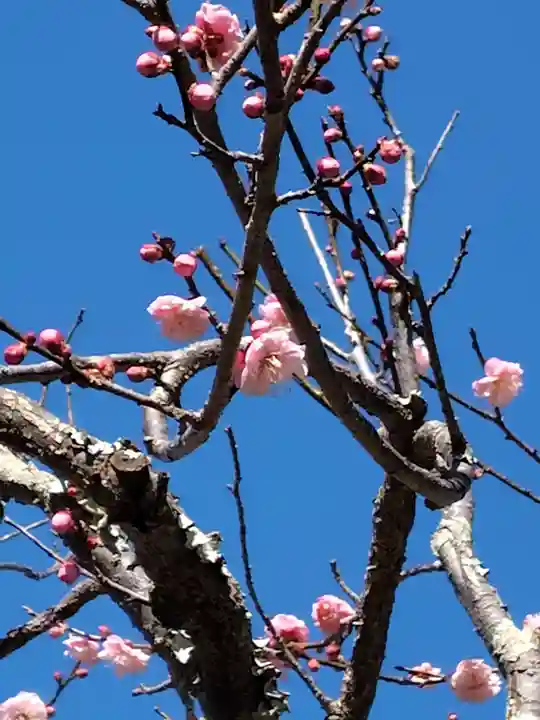 禅居院(神奈川県)