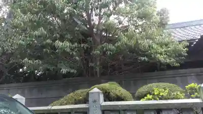 林神社(兵庫県)