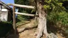 八大龍神社の鳥居