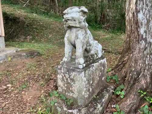 山神社の狛犬