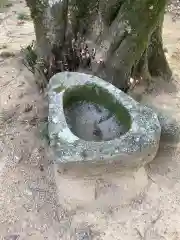 八坂神社（広見東八坂神社）の手水