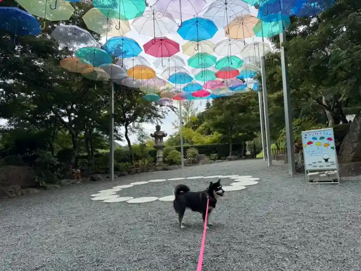 宝徳寺の{uncategorized: "未分類", other: "その他", undefined: "問題あり", building: "その他建物", grave: "お墓", sacred_gate: "鳥居", guardian: "狛犬", statue: "像", buddha: "仏像", history: "歴史", nature: "自然", garden: "庭園", animal: "動物", pagoda: "塔", temizu: "手水舎", mountain_gate: "山門・神門", sanctuary: "本殿・本堂", subordinate: "末社・摂社", art: "芸術", scenery: "景色", jizo: "地蔵", ema: "絵馬", goshuin: "御朱印", omikuji: "おみくじ", items: "授与品その他", amulet: "お守り", goshuincho: "御朱印帳", eats: "食事", festival: "お祭り", votive_dance: "神楽", shichigosan: "七五三参", wedding: "結婚式", experience: "体験その他", initially: "初詣", around: "周辺", anti_infection: "感染症対策"}