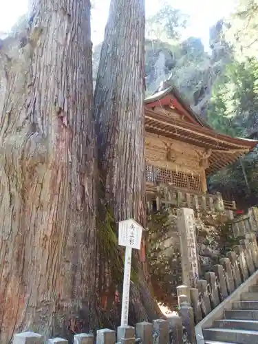 榛名神社(群馬県)