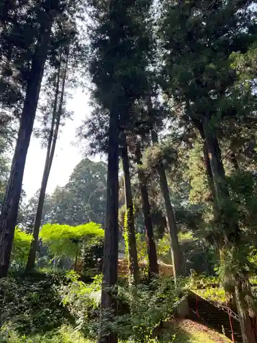 大宮温泉神社(栃木県)