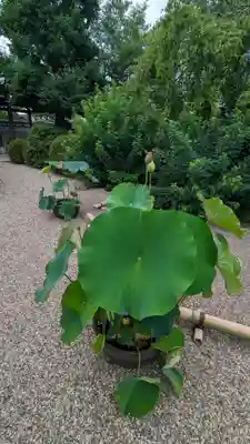 後白河院御聖蹟　法住寺(京都府)