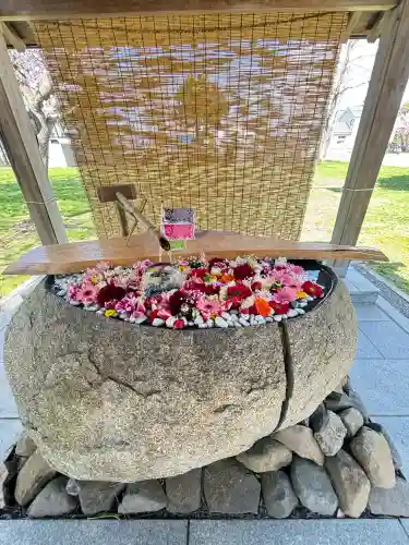 当別神社の{uncategorized: "未分類", other: "その他", undefined: "問題あり", building: "その他建物", grave: "お墓", sacred_gate: "鳥居", guardian: "狛犬", statue: "像", buddha: "仏像", history: "歴史", nature: "自然", garden: "庭園", animal: "動物", pagoda: "塔", temizu: "手水舎", mountain_gate: "山門・神門", sanctuary: "本殿・本堂", subordinate: "末社・摂社", art: "芸術", scenery: "景色", jizo: "地蔵", ema: "絵馬", goshuin: "御朱印", omikuji: "おみくじ", items: "授与品その他", amulet: "お守り", goshuincho: "御朱印帳", eats: "食事", festival: "お祭り", votive_dance: "神楽", shichigosan: "七五三参", wedding: "結婚式", experience: "体験その他", initially: "初詣", around: "周辺", anti_infection: "感染症対策"}