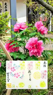 月替り見開き御朱印 4月
『花ごころ』