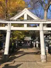 日枝神社水天宮の鳥居