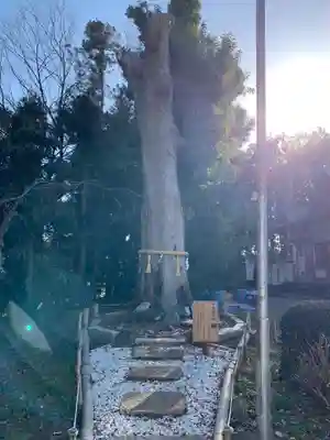 鹿嶋神社のその他建物