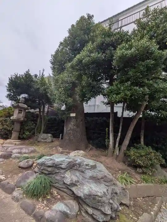 善仁寺(東京都)