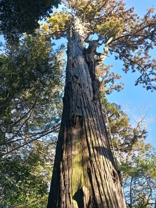 一言主神社の{uncategorized: "未分類", other: "その他", undefined: "問題あり", building: "その他建物", grave: "お墓", sacred_gate: "鳥居", guardian: "狛犬", statue: "像", buddha: "仏像", history: "歴史", nature: "自然", garden: "庭園", animal: "動物", pagoda: "塔", temizu: "手水舎", mountain_gate: "山門・神門", sanctuary: "本殿・本堂", subordinate: "末社・摂社", art: "芸術", scenery: "景色", jizo: "地蔵", ema: "絵馬", goshuin: "御朱印", omikuji: "おみくじ", items: "授与品その他", amulet: "お守り", goshuincho: "御朱印帳", eats: "食事", festival: "お祭り", votive_dance: "神楽", shichigosan: "七五三参", wedding: "結婚式", experience: "体験その他", initially: "初詣", around: "周辺", anti_infection: "感染症対策"}