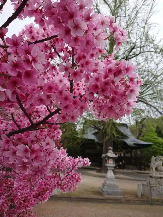 賀羅加波神社の自然