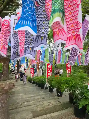 串間神社の{uncategorized: "未分類", other: "その他", undefined: "問題あり", building: "その他建物", grave: "お墓", sacred_gate: "鳥居", guardian: "狛犬", statue: "像", buddha: "仏像", history: "歴史", nature: "自然", garden: "庭園", animal: "動物", pagoda: "塔", temizu: "手水舎", mountain_gate: "山門・神門", sanctuary: "本殿・本堂", subordinate: "末社・摂社", art: "芸術", scenery: "景色", jizo: "地蔵", ema: "絵馬", goshuin: "御朱印", omikuji: "おみくじ", items: "授与品その他", amulet: "お守り", goshuincho: "御朱印帳", eats: "食事", festival: "お祭り", votive_dance: "神楽", shichigosan: "七五三参", wedding: "結婚式", experience: "体験その他", initially: "初詣", around: "周辺", anti_infection: "感染症対策"}