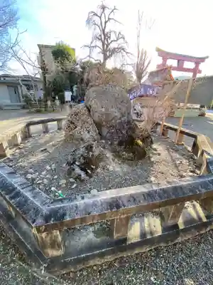 笠間稲荷神社(茨城県)