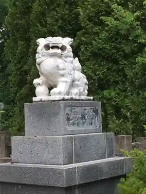 赤平神社の狛犬