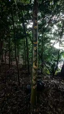 検見川神社の芸術