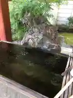 輪王寺両大師堂(寛永寺輪王殿)の手水舎