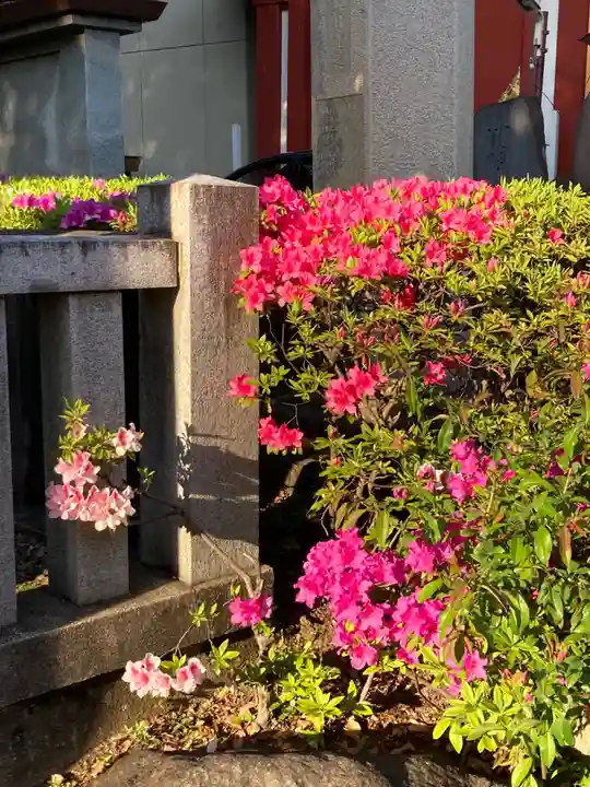 神田神社(神田明神)の自然