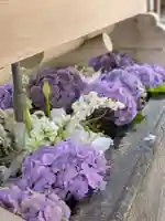 鳩森八幡神社(東京都)