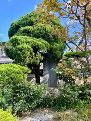 上宮王院聖徳寺(京都府)