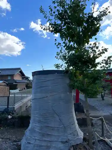 五明稲荷神社(岐阜県)