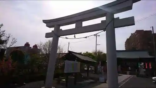 朝日氷川神社の鳥居