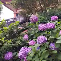 万作神社(東京都)