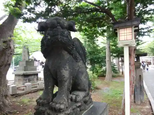 新琴似神社の狛犬