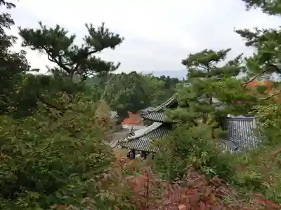 今熊野観音寺(京都府)
