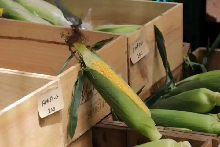 萬寿神社(柏屋本店願掛け萬寿石)(福島県)