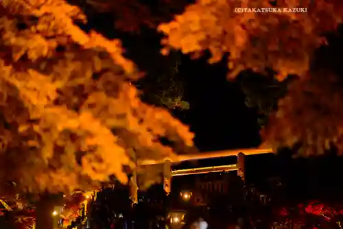 大山阿夫利神社(神奈川県)