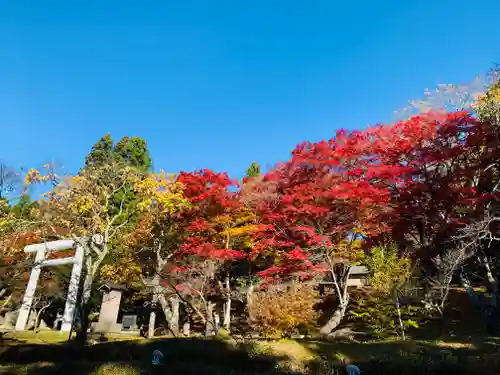 土津神社｜こどもと出世の神さまの建物その他