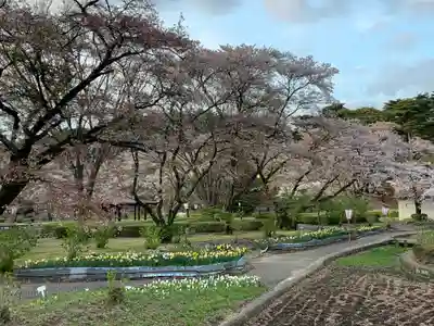烏森神社の周辺