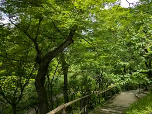 北野天満宮(京都府)