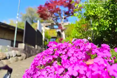 横浜御嶽神社(神奈川県)