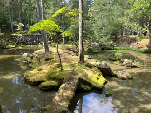 西芳寺(京都府)