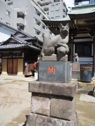 綾瀬稲荷神社の狛犬