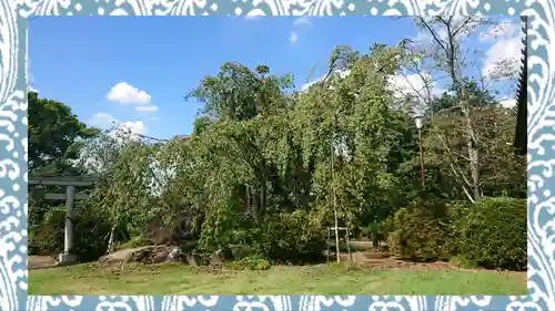 境香取神社(茨城県)