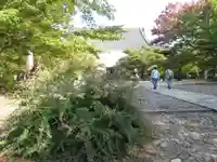 真正極楽寺(真如堂)のその他建物