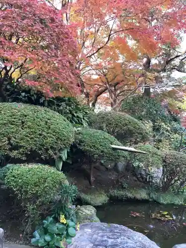 報国寺の庭園