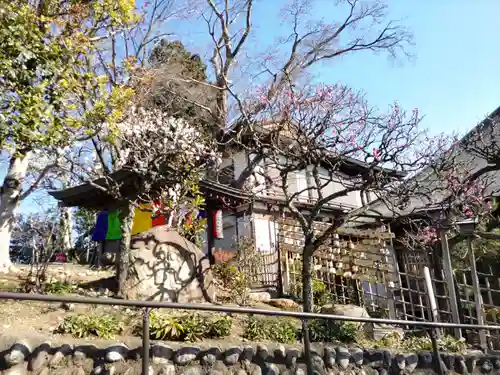 宗禅寺の庭園